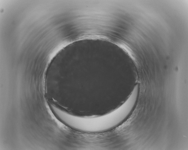 X0000088591046200706221336