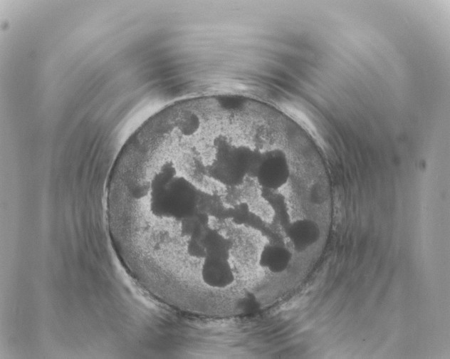 X0000088591047200706221336