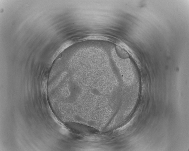 X0000088591049200706221336