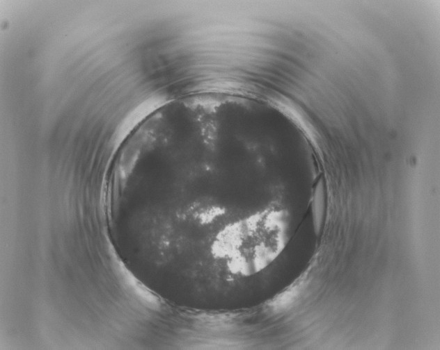 X0000088591050200706221336