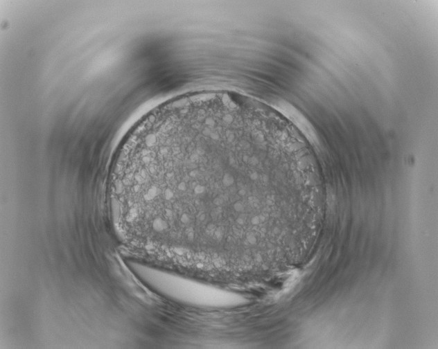 X0000088591052200706221336