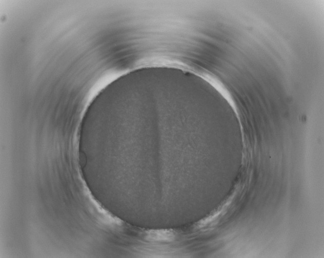 X0000088591053200706221336