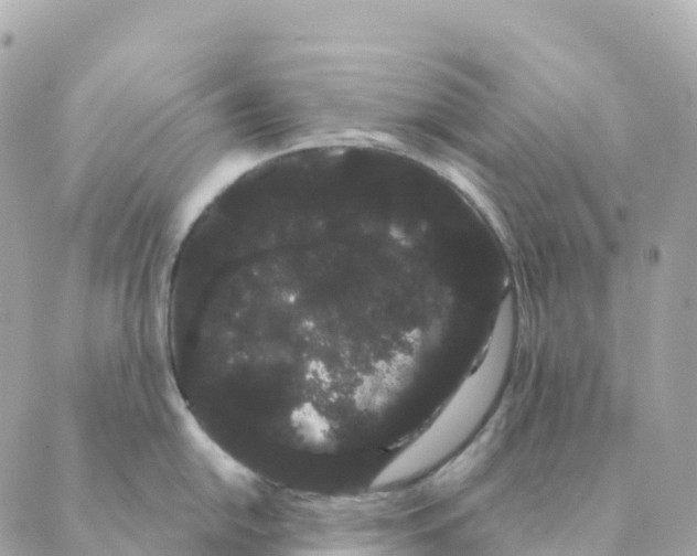 X0000088591054200706221336