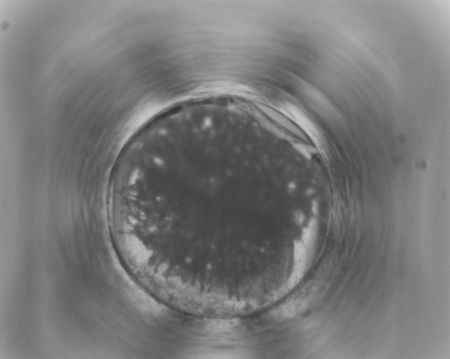 X0000088591055200706221336