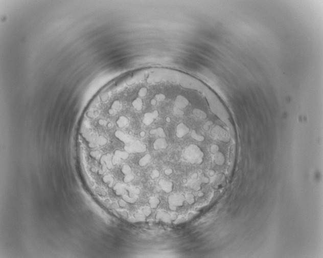 X0000088591056200706221336