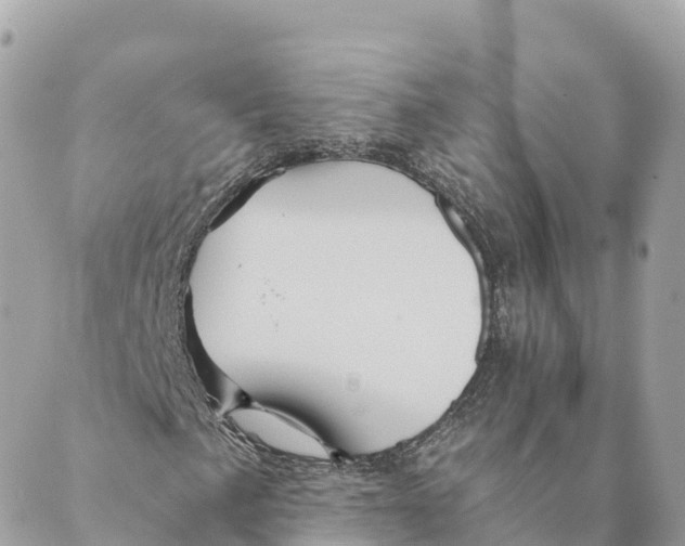 X0000088591057200706221335