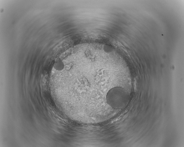 X0000088591059200706221335