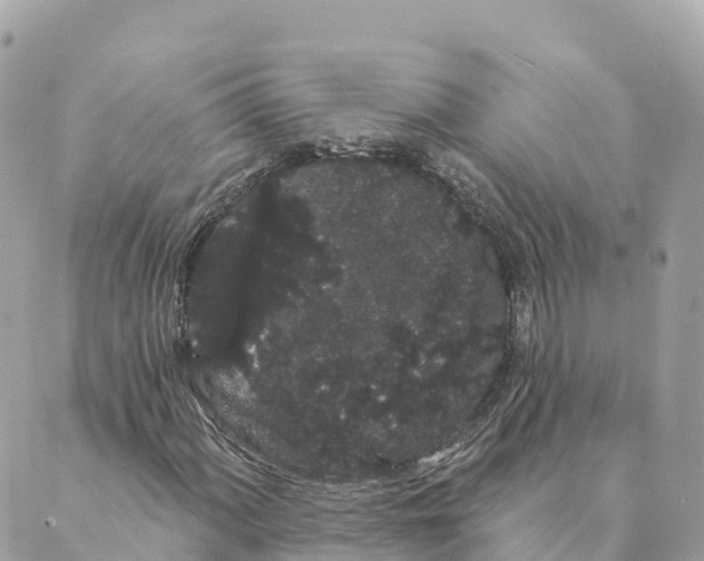 X0000088591060200706221335