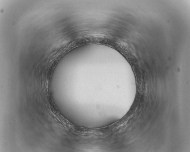 X0000088591061200706221335