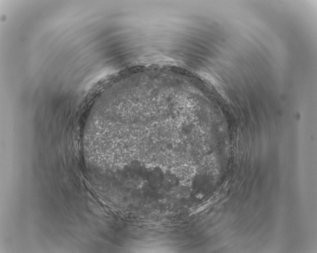 X0000088591063200706221335