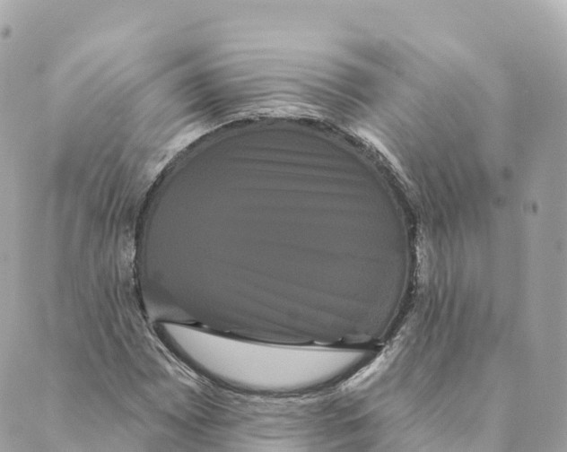 X0000088591065200706221335