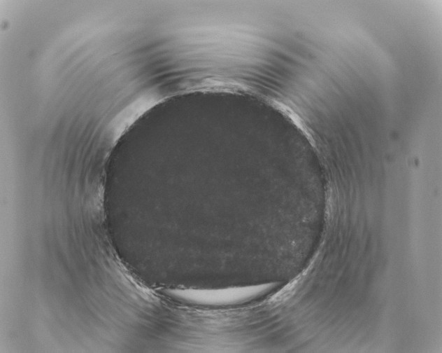 X0000088591066200706221335