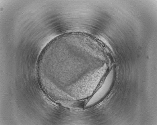 X0000088591068200706221335