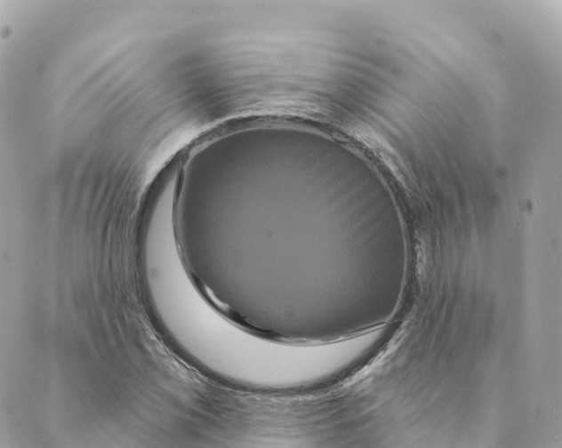 X0000088591069200706221335