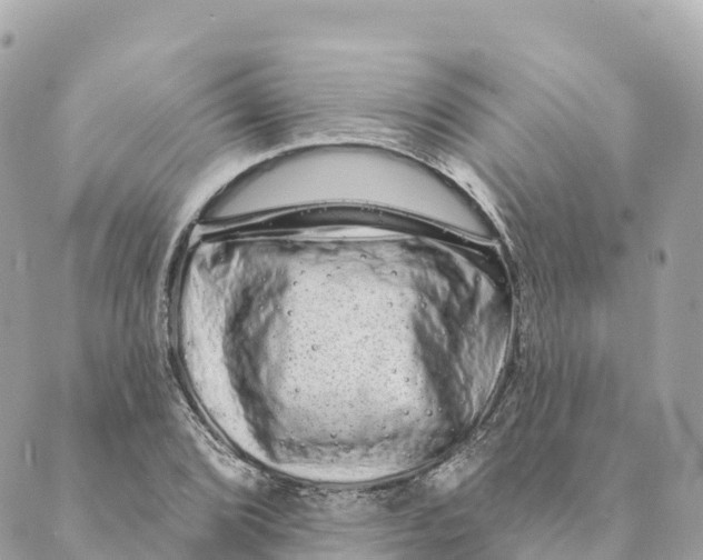 X0000088591072200706221335