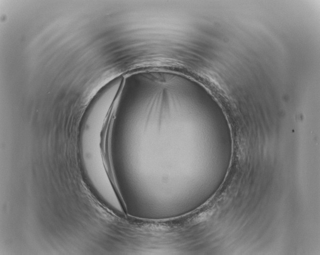 X0000088591073200706221335