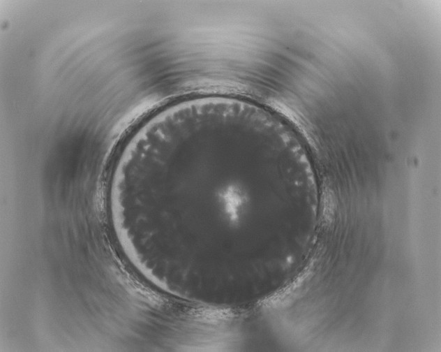 X0000088591074200706221335