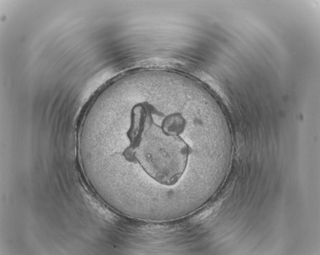 X0000088591075200706221335