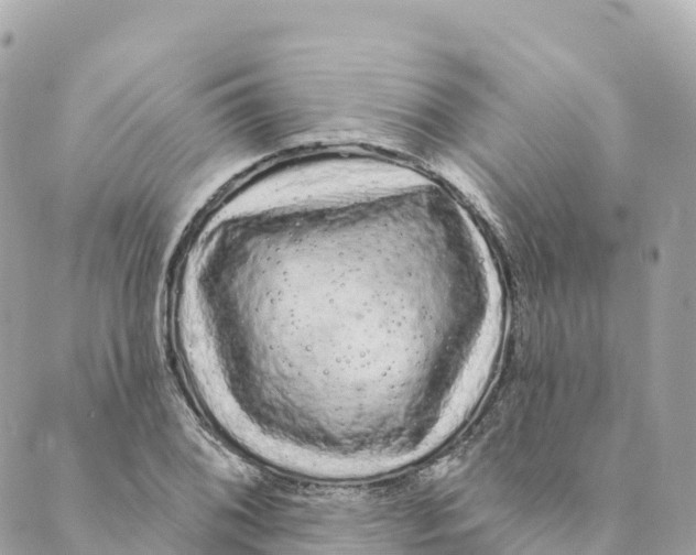 X0000088591076200706221335