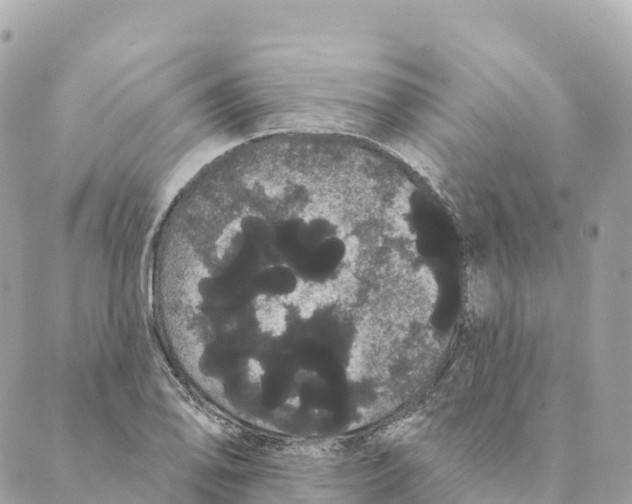 X0000088591078200706221335