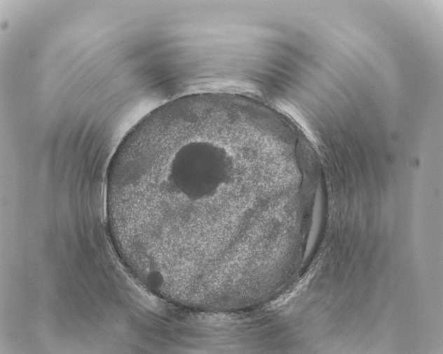 X0000088591079200706221335