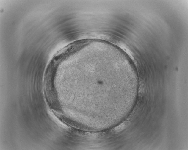 X0000088591080200706221335