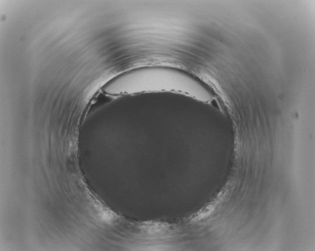 X0000088591081200706221335