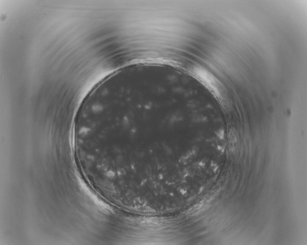 X0000088591084200706221335