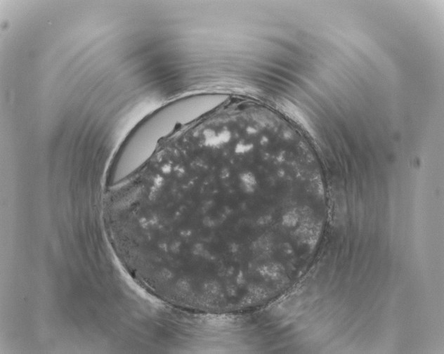 X0000088591087200706221335