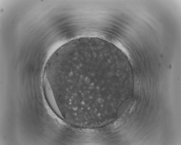 X0000088591088200706221335