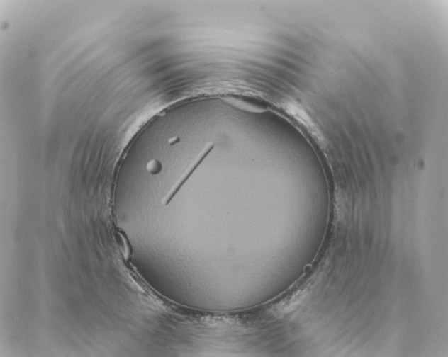 X0000088591089200706221335