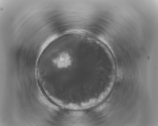 X0000088591090200706221335