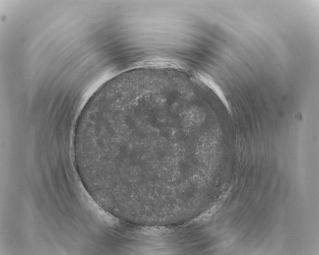 X0000088591091200706221335