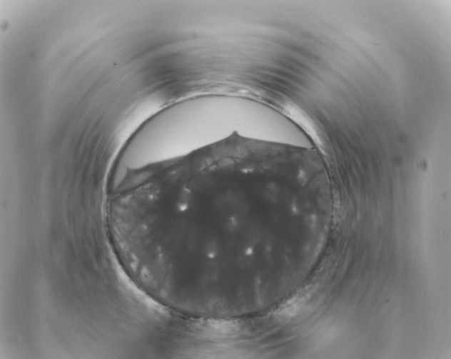 X0000088591095200706221335