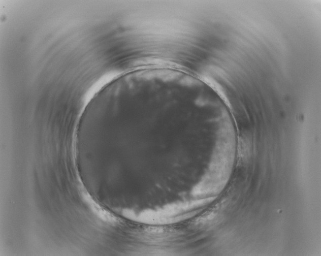 X0000088591098200706221335