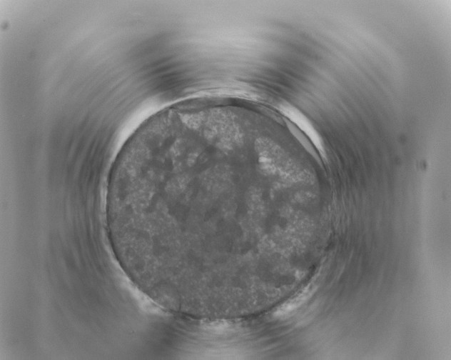 X0000088591099200706221335