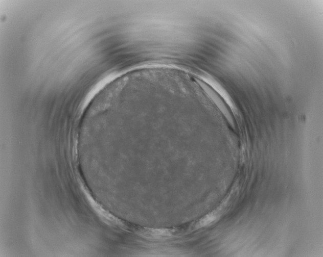 X0000088591101200706221335