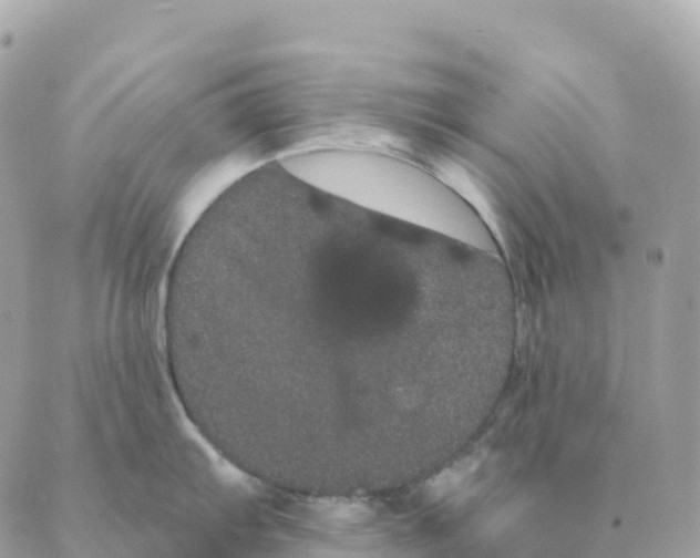 X0000088591103200706221335