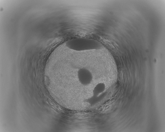 X0000088591105200706221334