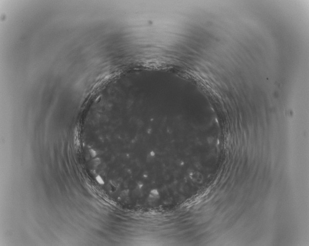 X0000088591106200706221334