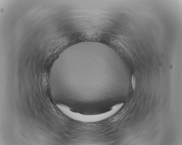 X0000088591107200706221334