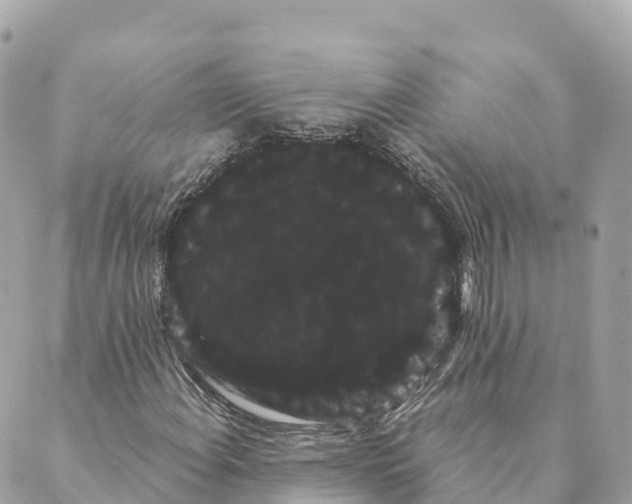 X0000088591108200706221334