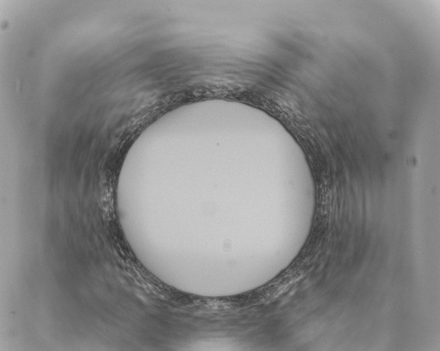 X0000088591109200706221334