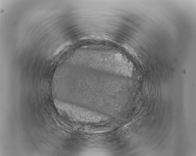 X0000088591110200706221334