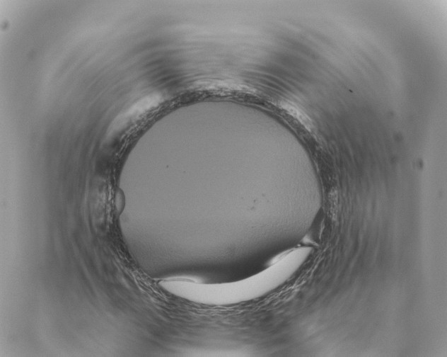 X0000088591111200706221334