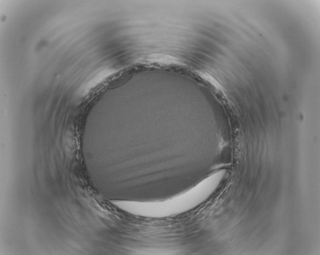 X0000088591112200706221334