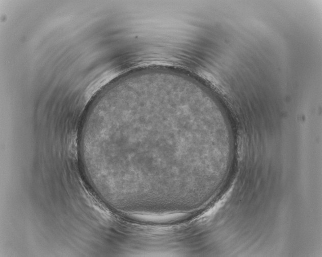 X0000088591113200706221334