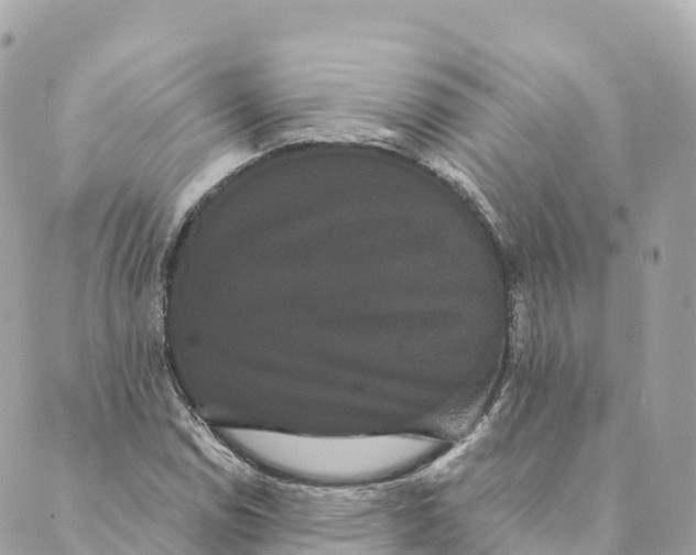 X0000088591114200706221334