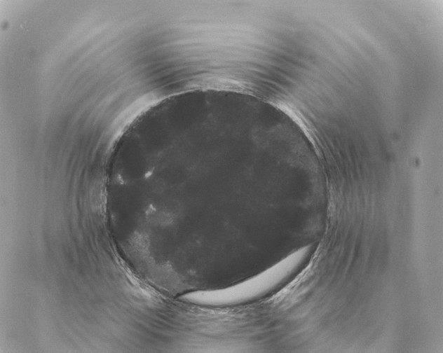 X0000088591115200706221334