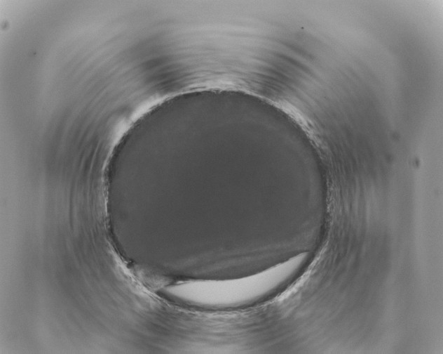 X0000088591118200706221334